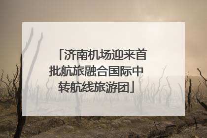济南机场迎来首批航旅融合国际中转航线旅游团
