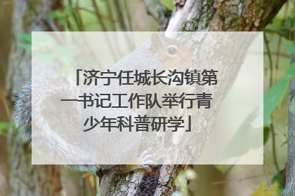 济宁任城长沟镇第一书记工作队举行青少年科普研学