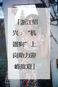 浙江绍兴：“机器狗”上岗助力迎峰度夏