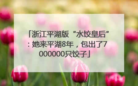 浙江平湖版“水饺皇后”：她来平湖8年，包出了7000000只饺子