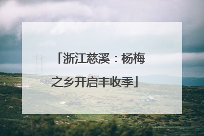 浙江慈溪：杨梅之乡开启丰收季
