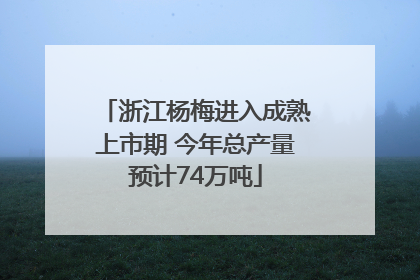 浙江杨梅进入成熟上市期 今年总产量预计74万吨