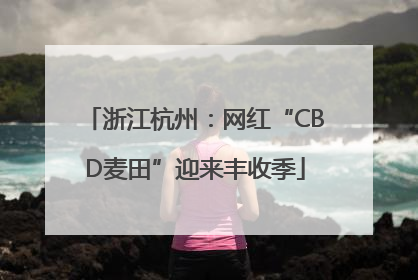 浙江杭州：网红“CBD麦田”迎来丰收季