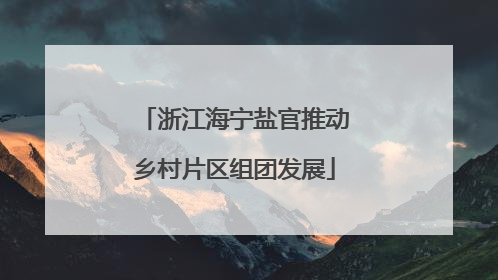 浙江海宁盐官推动乡村片区组团发展