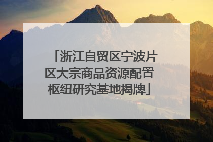 浙江自贸区宁波片区大宗商品资源配置枢纽研究基地揭牌