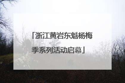 浙江黄岩东魁杨梅季系列活动启幕