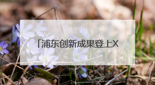 浦东创新成果登上XR全球C位！AR黑马XREAL联合谷歌发布旗舰AR眼镜