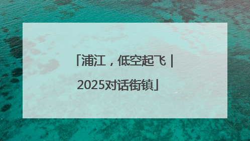 浦江，低空起飞｜2025对话街镇