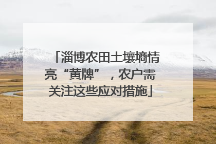 淄博农田土壤墒情亮“黄牌”，农户需关注这些应对措施