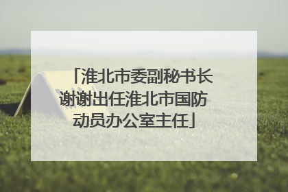 淮北市委副秘书长谢谢出任淮北市国防动员办公室主任