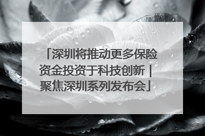 深圳将推动更多保险资金投资于科技创新｜聚焦深圳系列发布会