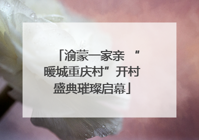 渝蒙一家亲 “暖城重庆村”开村盛典璀璨启幕
