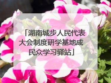 湖南城步人民代表大会制度研学基地成民众学习驿站