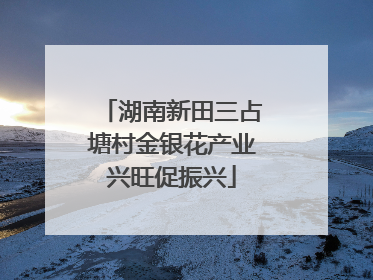 湖南新田三占塘村金银花产业兴旺促振兴