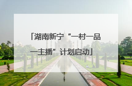 湖南新宁“一村一品一主播”计划启动