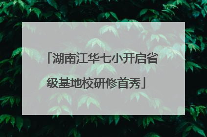湖南江华七小开启省级基地校研修首秀