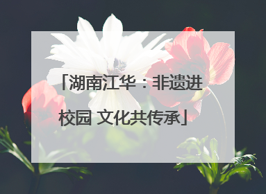 湖南江华：非遗进校园 文化共传承