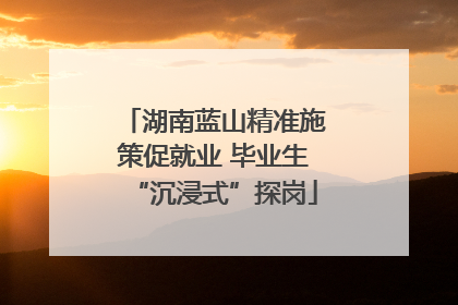 湖南蓝山精准施策促就业 毕业生“沉浸式”探岗