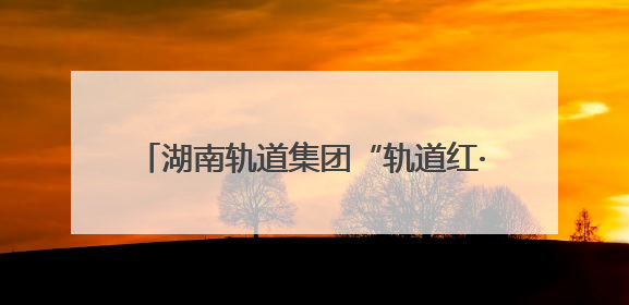 湖南轨道集团“轨道红·湘动脉”党建品牌发布