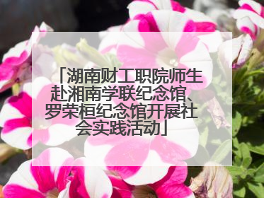 湖南财工职院师生赴湘南学联纪念馆、罗荣桓纪念馆开展社会实践活动