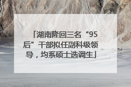 湖南隆回三名“95后”干部拟任副科级领导，均系硕士选调生