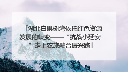 湖北白果树湾依托红色资源发展的蝶变——“抗战小延安”走上农旅融合振兴路