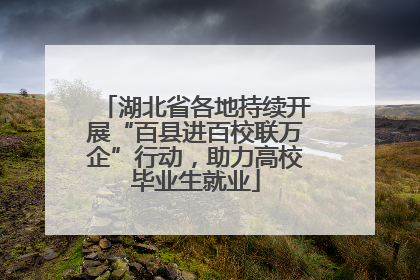 湖北省各地持续开展“百县进百校联万企”行动，助力高校毕业生就业