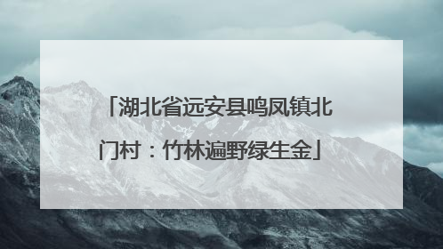 湖北省远安县鸣凤镇北门村：竹林遍野绿生金
