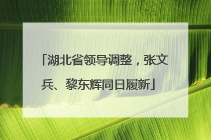 湖北省领导调整，张文兵、黎东辉同日履新