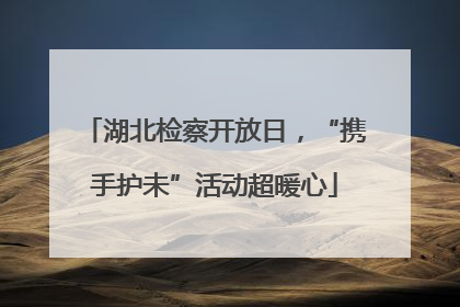 湖北检察开放日，“携手护未”活动超暖心