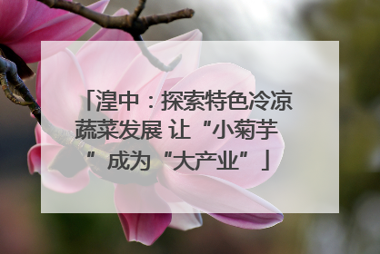 湟中：探索特色冷凉蔬菜发展 让“小菊芋”成为“大产业”