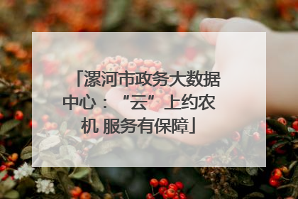 漯河市政务大数据中心：“云”上约农机 服务有保障