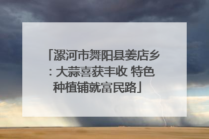 漯河市舞阳县姜店乡：大蒜喜获丰收 特色种植铺就富民路