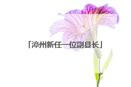 漳州新任一位副县长