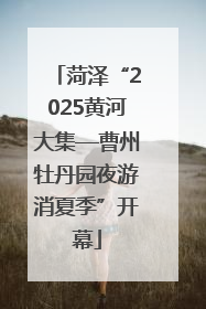 菏泽“2025黄河大集—曹州牡丹园夜游消夏季”开幕