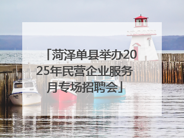菏泽单县举办2025年民营企业服务月专场招聘会