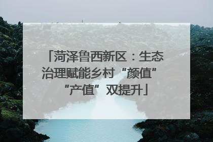 菏泽鲁西新区：生态治理赋能乡村“颜值”“产值”双提升