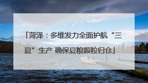 菏泽：多维发力全面护航“三夏”生产 确保夏粮颗粒归仓