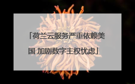 荷兰云服务严重依赖美国 加剧数字主权忧虑