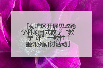 荷塘区开展思政跨学科项目式教学“教-学-评”一致性主题课例研讨活动