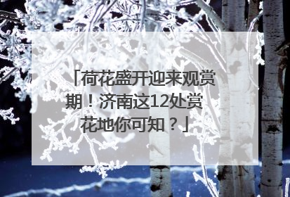 荷花盛开迎来观赏期！济南这12处赏花地你可知？
