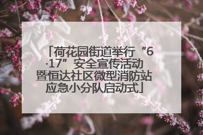 荷花园街道举行“6·17”安全宣传活动暨恒达社区微型消防站应急小分队启动式