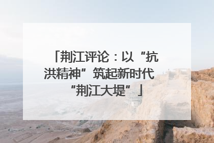 荆江评论：以“抗洪精神”筑起新时代“荆江大堤”