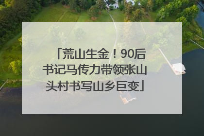 荒山生金！90后书记马传力带领张山头村书写山乡巨变