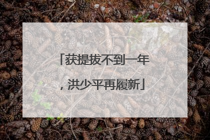 获提拔不到一年，洪少平再履新