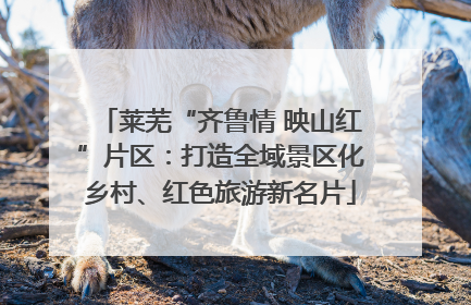 莱芜“齐鲁情 映山红”片区：打造全域景区化乡村、红色旅游新名片