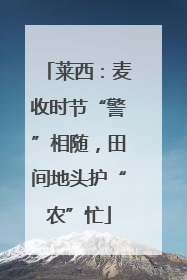 莱西：麦收时节“警”相随，田间地头护“农”忙