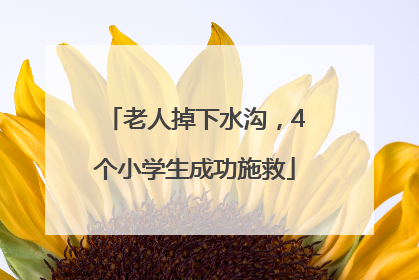 老人掉下水沟，4个小学生成功施救
