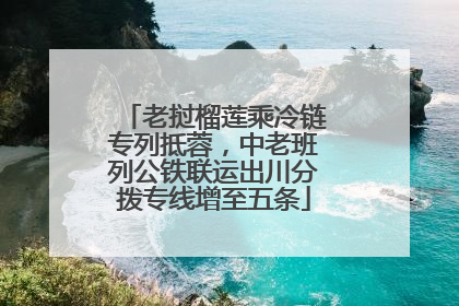 老挝榴莲乘冷链专列抵蓉，中老班列公铁联运出川分拨专线增至五条