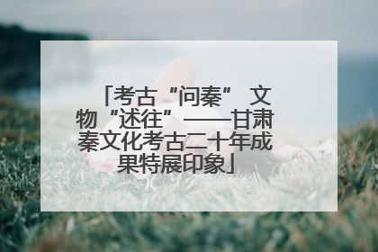 考古“问秦” 文物“述往”——甘肃秦文化考古二十年成果特展印象
